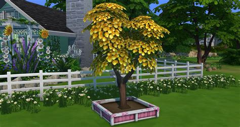 sims 4 money tree